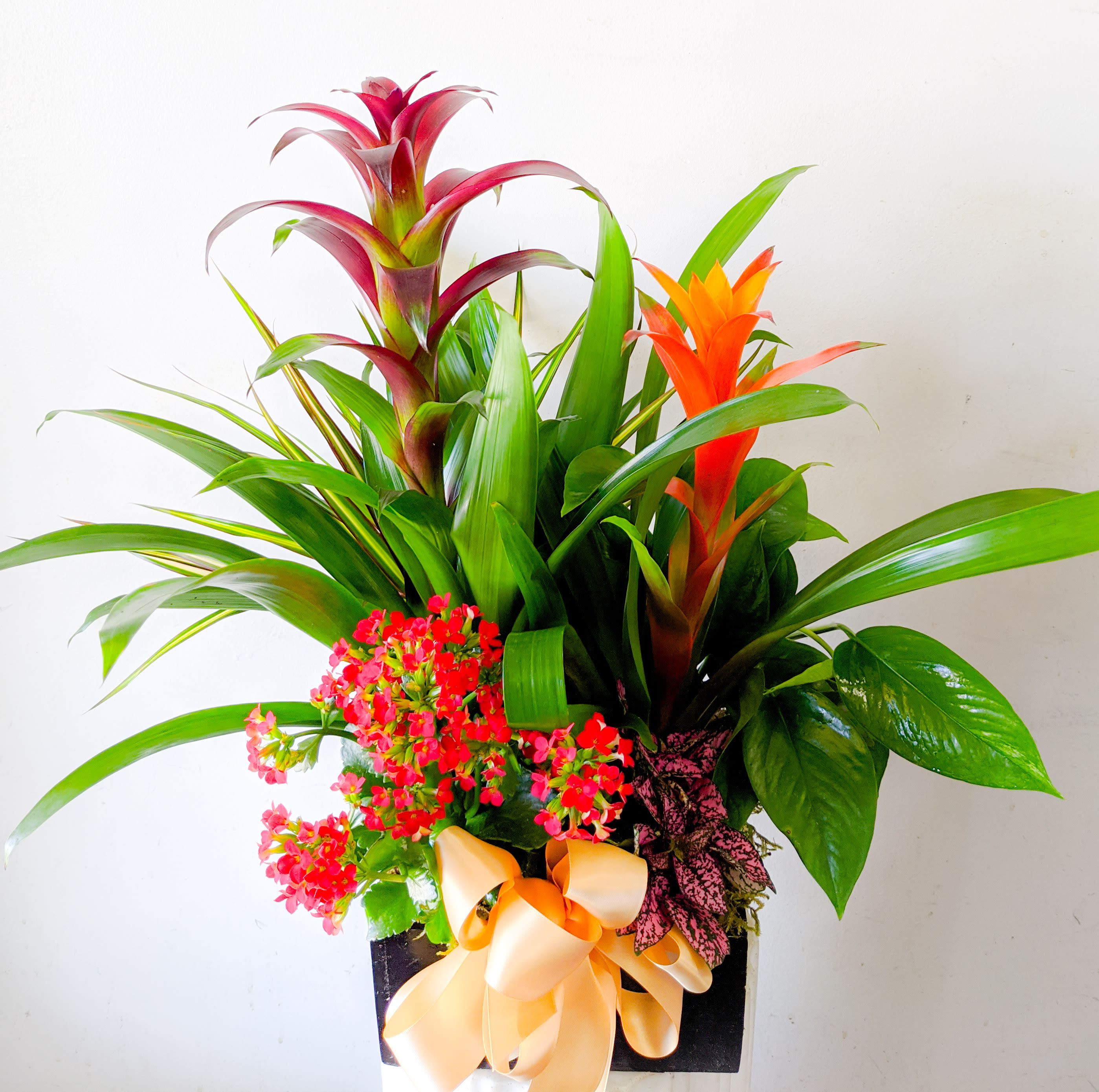 Bromeliad Box Design - Wood box filled with bromeliads and accent plants.