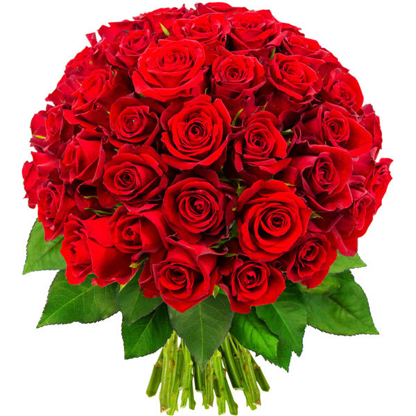 50 Red Roses Hand Tied Bouquet By San Diego Floral Design Order your san diego flowers online with floom, and the local independent florist fulfilling your order will ensure they are hand delivered to your chosen recipient. bloomnation