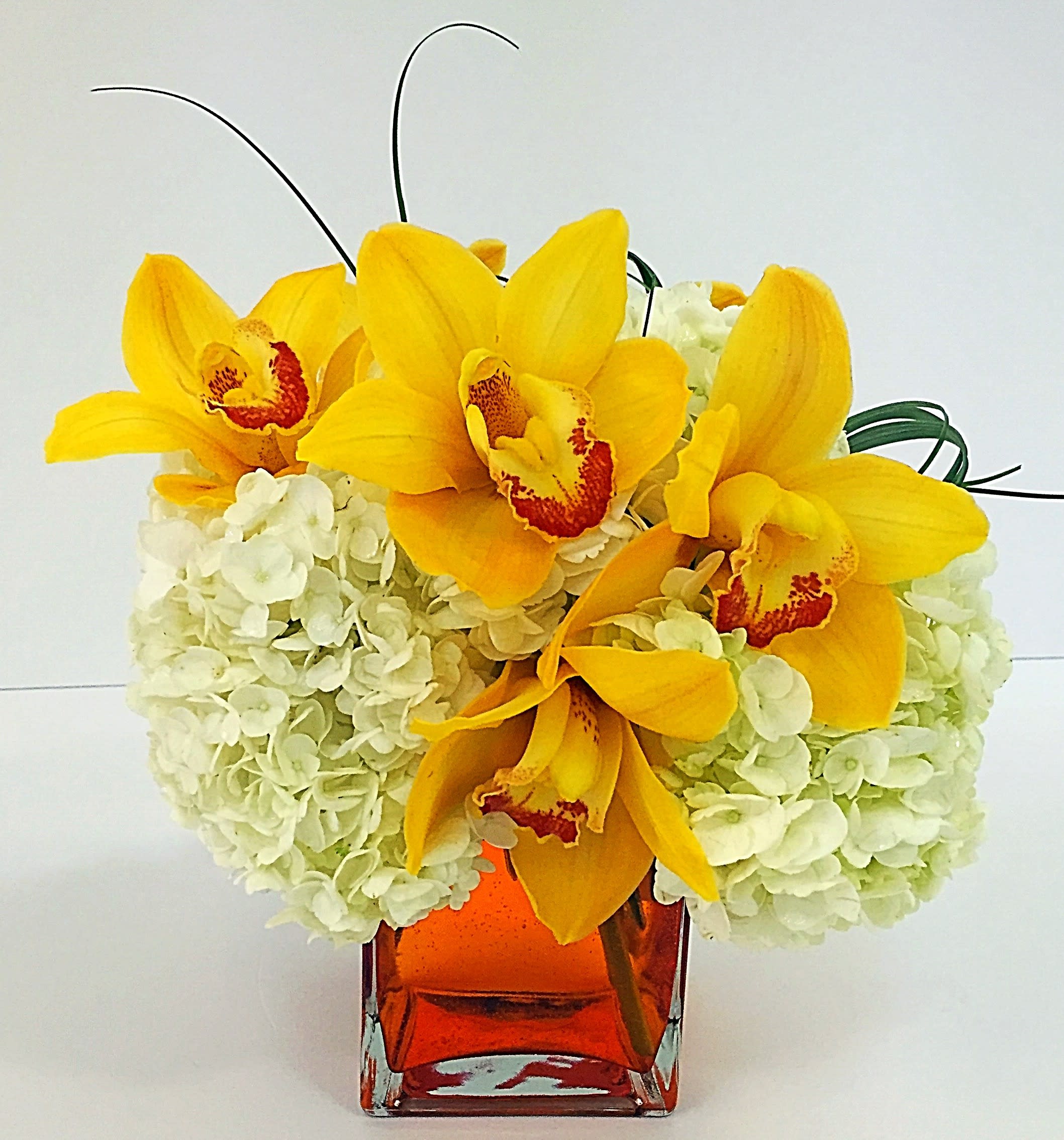 Autumn Gold Autumn Gold - White Hydrangea & Golden Cymbidium Orchids with Bear Grass Accents in a 4" square translucent orange vase.