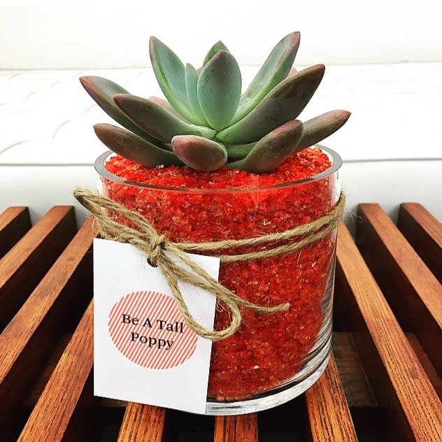 Lipstick Red Lipstick Red - Send the Perfect Gift with our Be A Tall Poppy Signature Red Succulent!