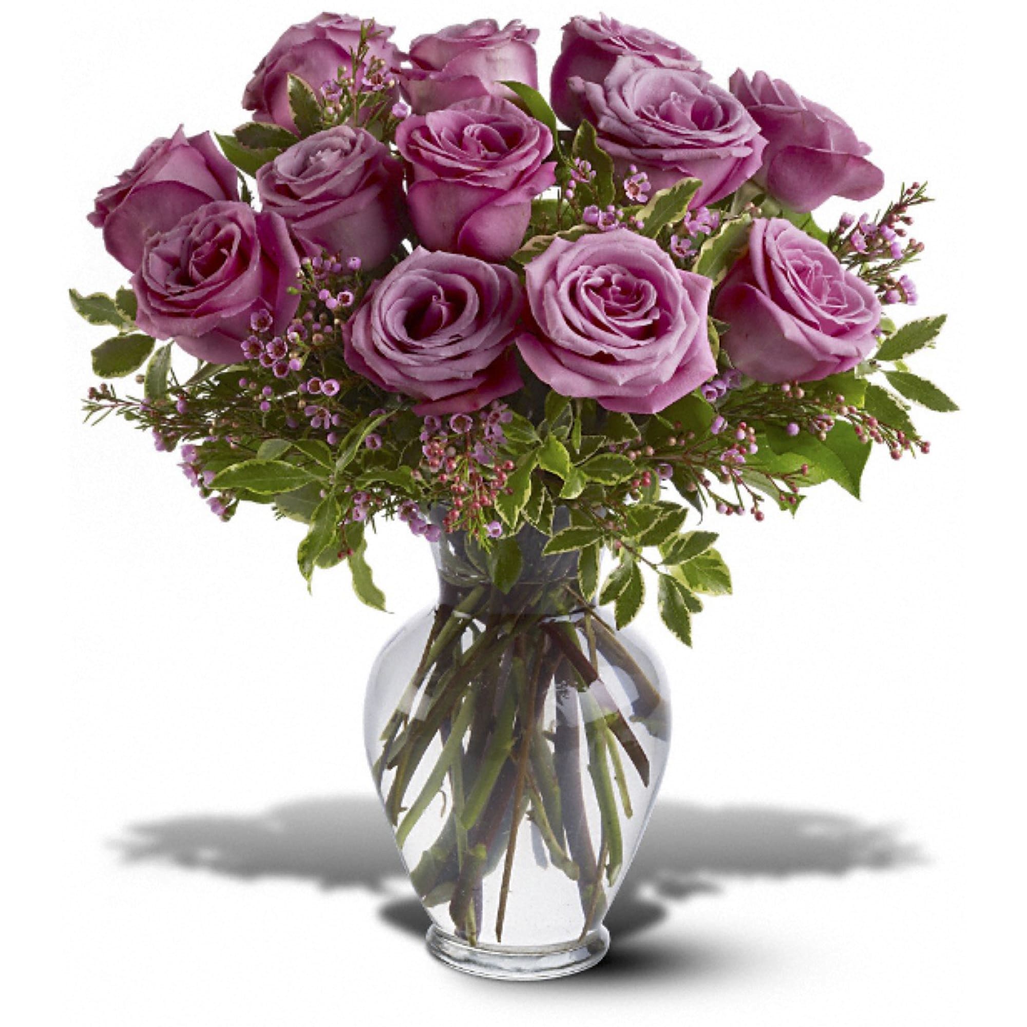 A Dozen Lavender Roses - 12 lavender roses, with variegated pittosporum and salal, arrive in a classic glass urn vase. Approximately 14&quot; W x 16&quot; H
