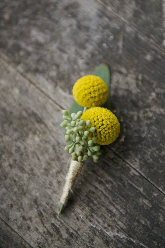 Billy Balls boutonniere - We used yellow billy balls, and eucalyptus. Then wrapped in in juke.