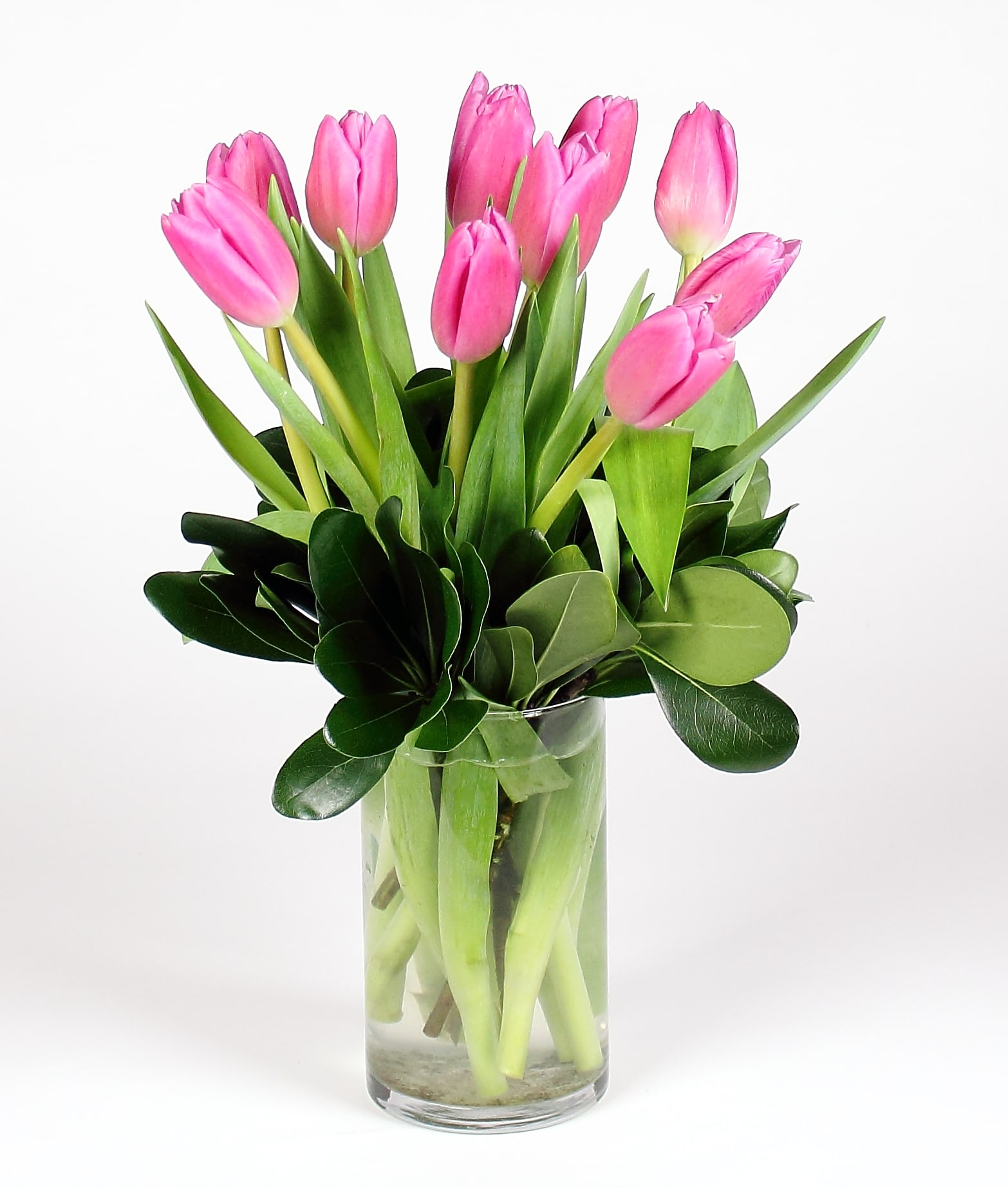 Tulip Lover's Vase - 10 seasonal tulips (color may vary). Arranged perfectly in a clear glass cylinder and accented with greens. Approx 13&quot; x 10&quot;  *Due to availability, on occasion it may be necessary to substitute a certain flower or container for your order. 