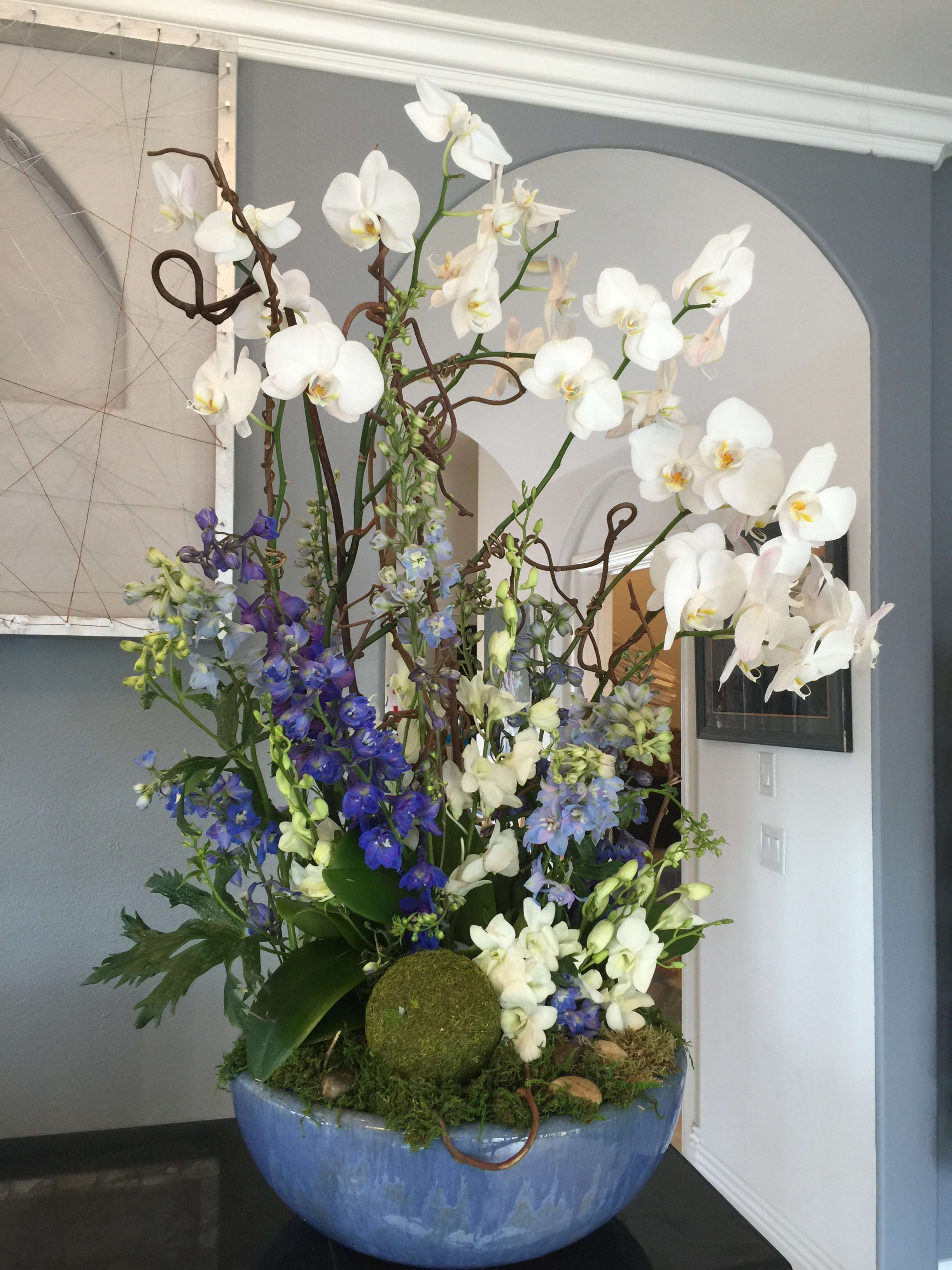 Orchid Planter In Encinitas Ca Floral Design By Ari