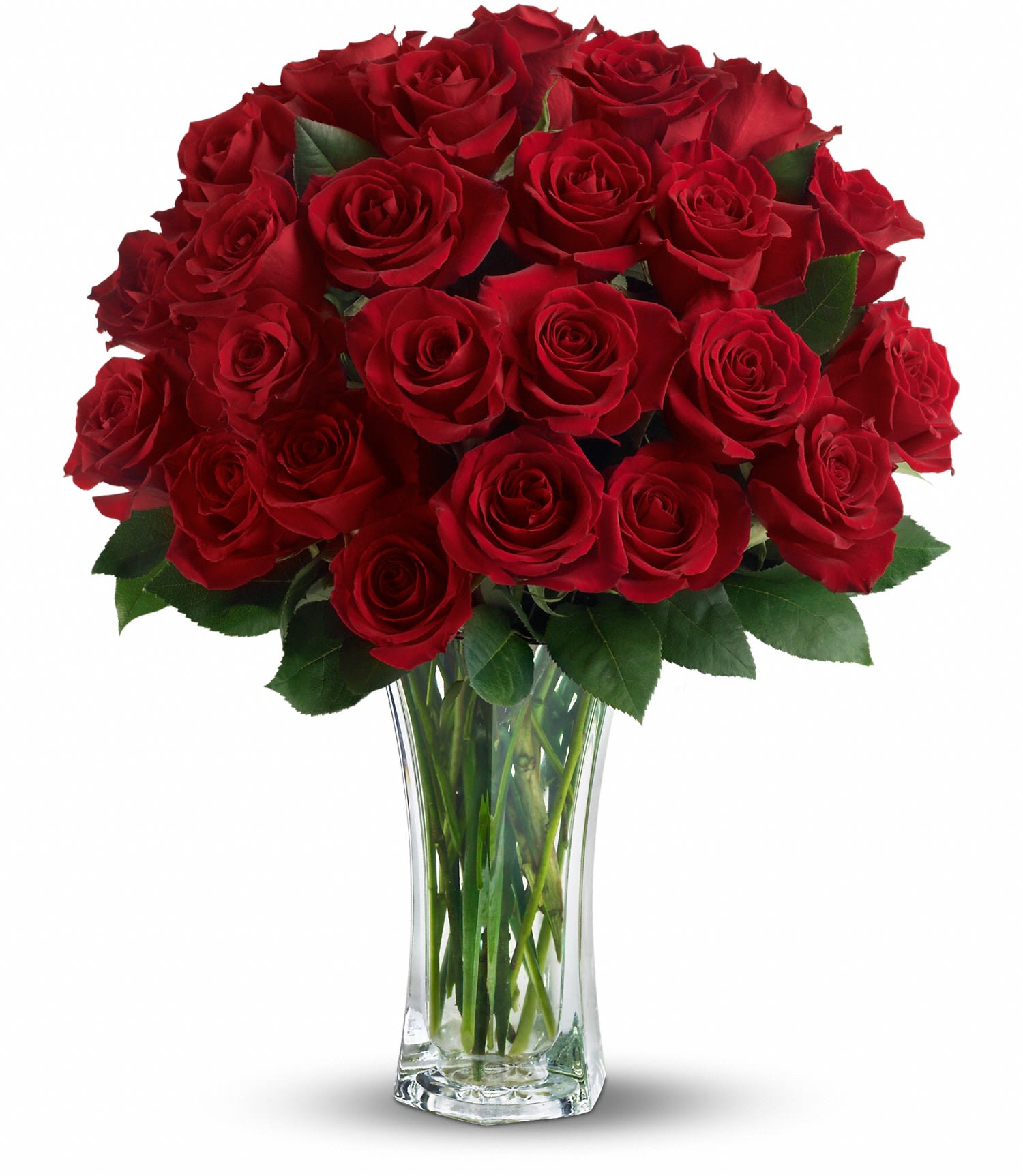 Love and Devotion - Long Stemmed Red Roses - The spectacular bouquet features two dozen red roses accented with salal. Approximately 15&quot; W x 22&quot; H    TRS01-1A