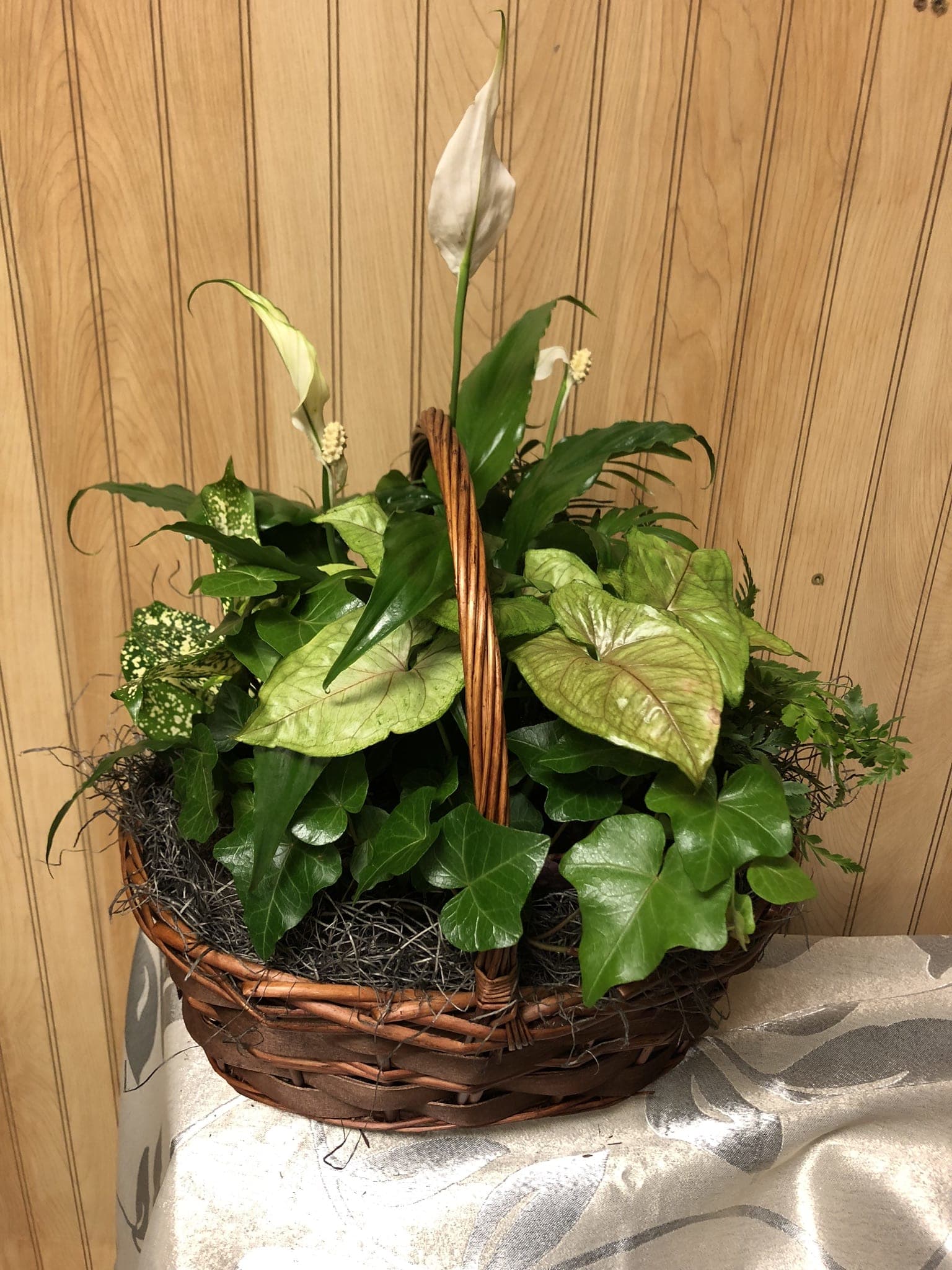 Dish Garden Basket in Platte City, MO Platte City Flowers and Gifts