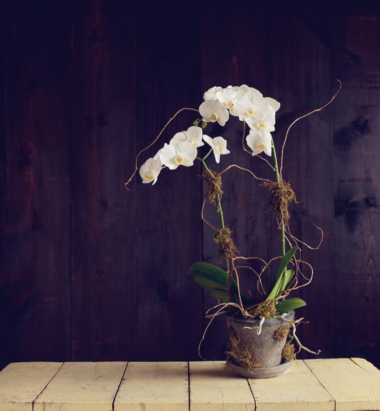 Funeral Flowers Duluth Mn : Local Florist Flower Shop ...