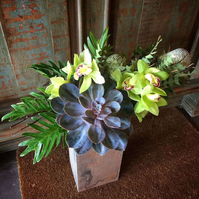 pic Modern Succulent Floral Arrangements ag modern succulent by andrew s garden