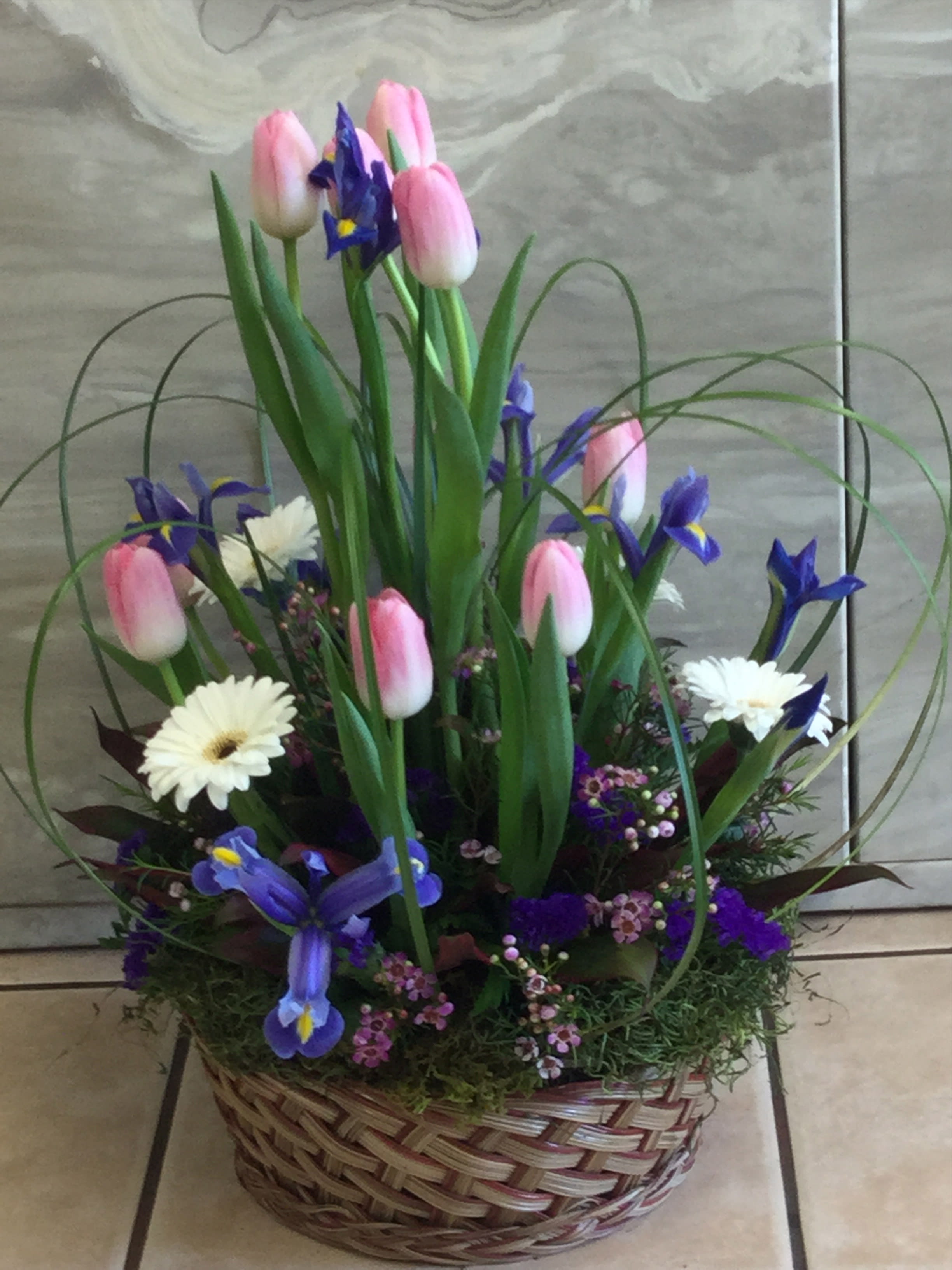 Tulips In Spring In Sunnyvale Ca El Patito Florist