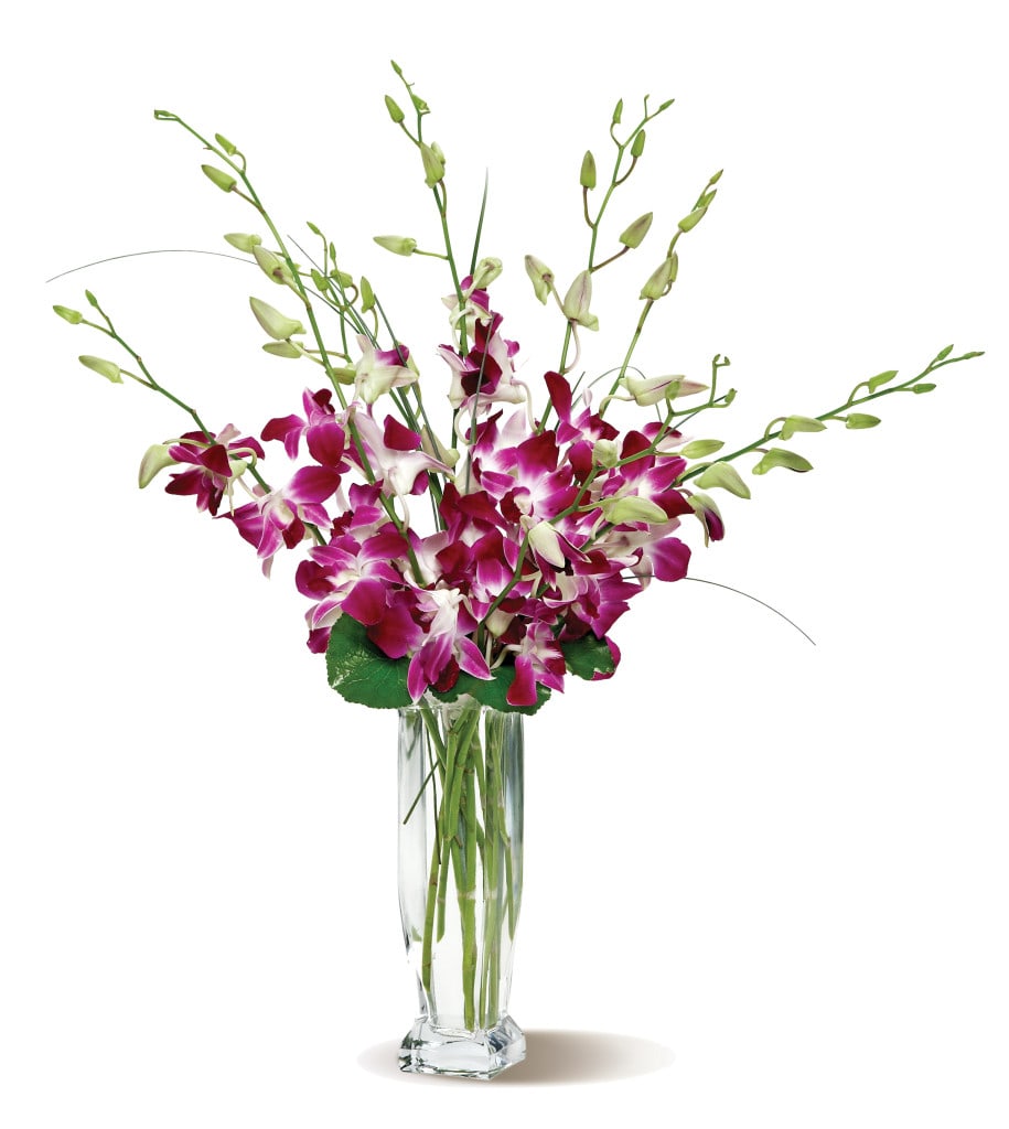 Purple Orchid Bouquet Purple Orchid Bouquet - Designed in a cylinder vase with purple orchids.
