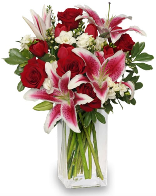 CF2209 - Sweetly Scented Sweetly Scented features a lush combination of Stargazer Lilies, White Freesia, Red Roses, Red Tulips, White Monte Casino Aster, and foliage that is sure to impress!  Copyrighted content provided by FlowerShopNetwork.com Proud Member of Flower Shop Network