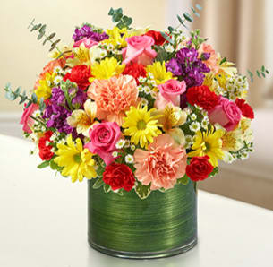 BN95438 - Cherished Memories - Multicolor Bright Express your condolences with our truly original sympathy arrangement of bright and beautiful roses, stock, alstroemeria, carnations and more. Designed by our florists to offer comfort to friends and family during difficult times of loss.