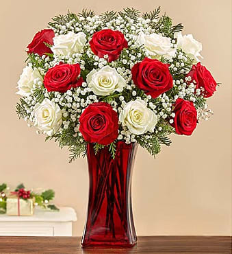 BN147279 - Merry &amp; Bright Rose Bouquet It’s merry. It’s bright. It’s a cheerful bouquet guaranteed to make anyone’s holiday! Fresh red and white roses are hand-gathered with gypsophila (“baby’s breath”) and mixed Christmas greens in a sleek and festive ruby red vase. Surprise a friend or loved one who looks forward to putting the traditional Christmas colors on display each year... or send one to yours-elf!