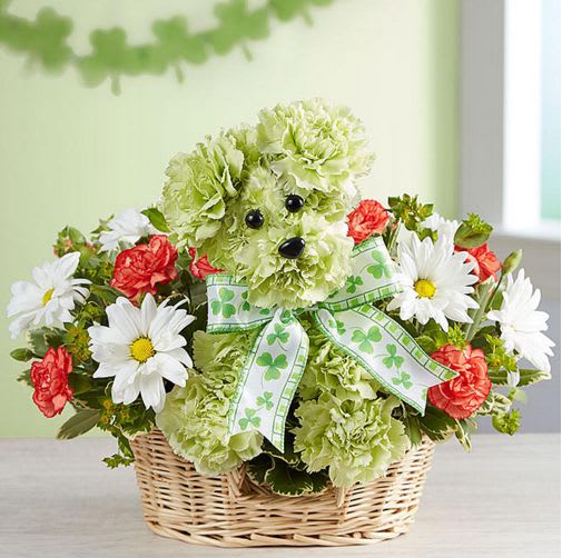 Lucky - Get lucky. Give Lucky! Our signature St. Patrick’s Day pup is party-ready, hand-crafted from traditional green, white and orange blooms, and wearing a fun shamrock ribbon. He’s a truly original surprise to make Irish eyes of all ages smile.