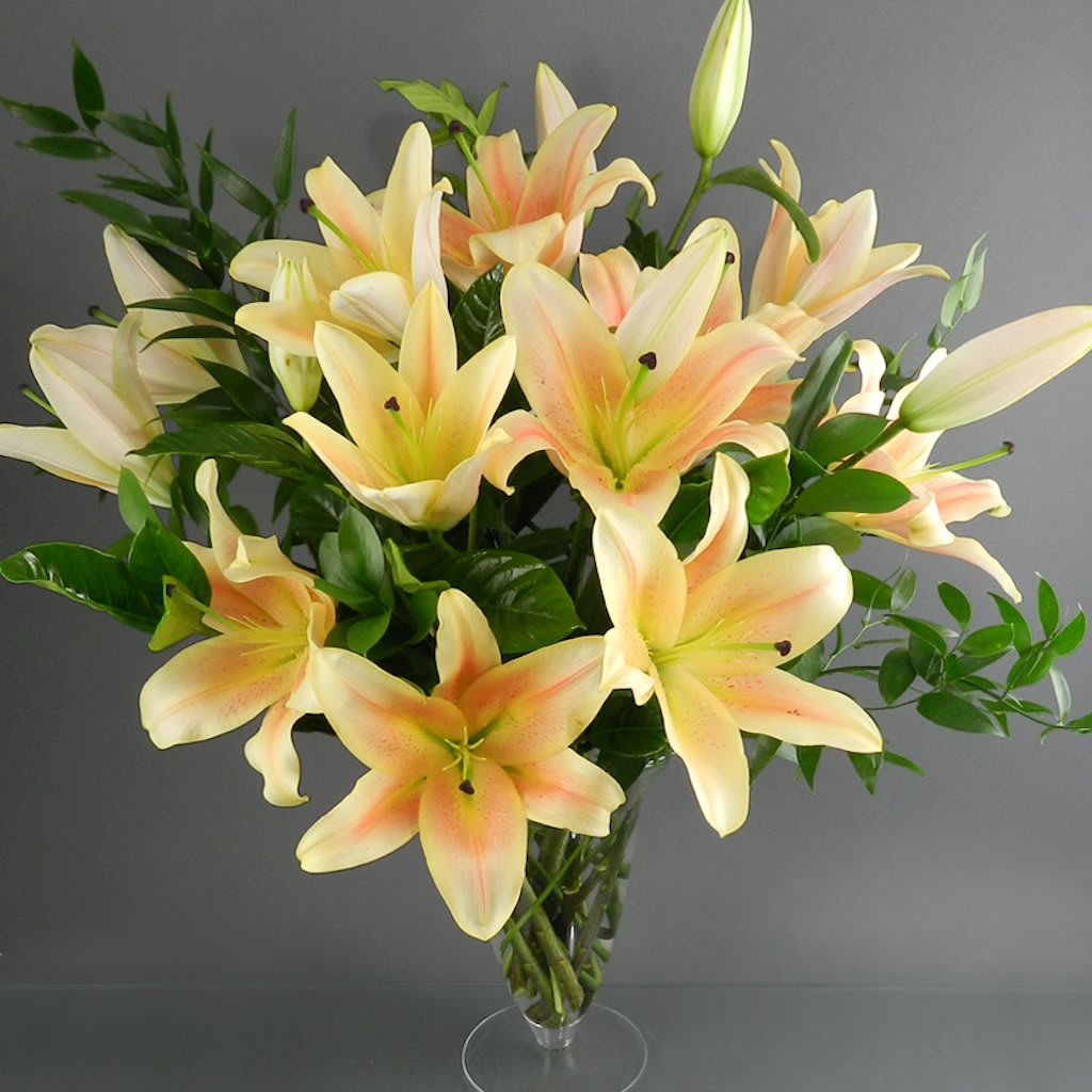 Lily Garden in Kansas City, MO Trapp & Company