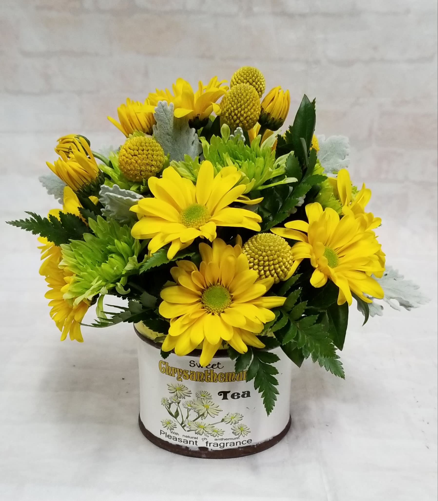 Chrysanthemum Tea Time In Davis Ca Strelitzia Flower Company Chrysanthemum Tea Time In Davis Ca Strelitzia Flower Company