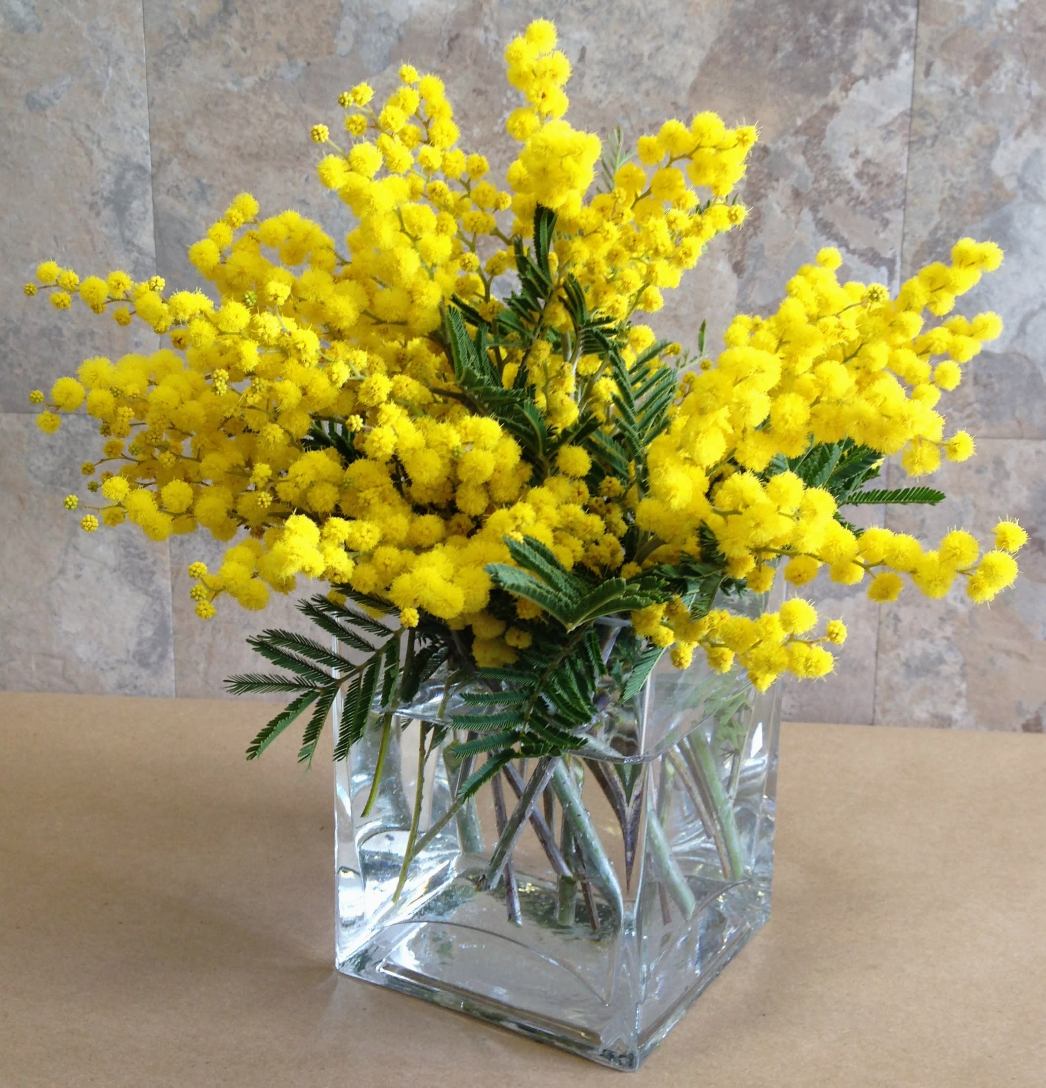 Celebrate Womens Day March 8 With Mimosa in Brooklyn, NY | Flowers By Emil