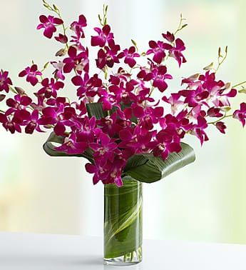 Variagated Dendrobuim Orchids  - We’ve taken our stunning Dendrobium orchids and surrounded them with unique and delicately folded aspidistra leaves as if to lock them together in a sweet embrace. Set in a clear glass vase, this simple yet elegant arrangement will deliver a smile—and a hug—to that special someone.