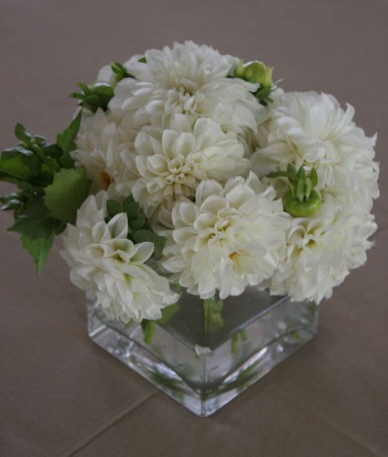 White dahlia flower bouquet