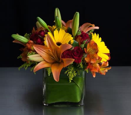 Sunset Cube  - This arrangement - part of our popular cube collection - is filled with a fall color mix of Asiatic Lilies, Gerbera Daisies, Alstromeria, Spray Roses and other sunset colored flowers and greens. 
