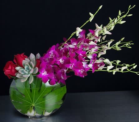Embrace - Perfect for either a man or a woman - this beautiful arrangement of dendrobium orchids, succulents and roses are presented in our popular moon vases and filled with white rocks and a fatsia leaf. Tell someone you are &quot;over the moon&quot; for them!