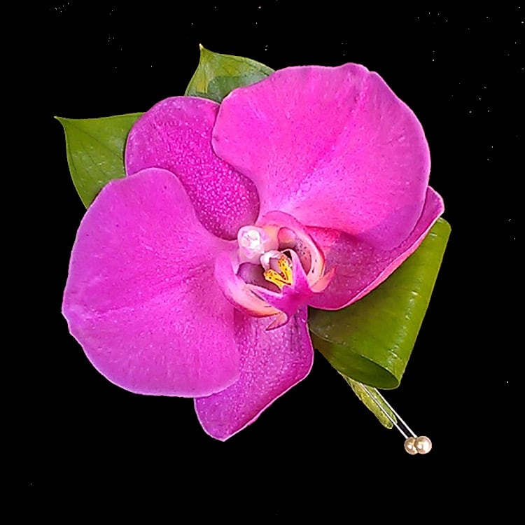 Phalaenopsis Boutonniere or Corsage AB1 - The perfect accent for a man or a woman. This phalaenopsis orchid boutonniere can be ordered as shown or with additional ribbons and greens for a pin on or wrist corsage. Please specify your choice of a white or purple Phalaenopsis bloom. NOTE: WRIST CORSAGE BEADED AND CRYSTAL BANDS SOLD SEPARATELY. PLEASE CHOOSE PREFERRED BAND AND ADD TO ORDER. All Boutonnieres and Corsages should be ordered a minimum of 3 - 5 days prior to your event. For needs sooner than that please call the store at 858-454-0146 to ensure availability.