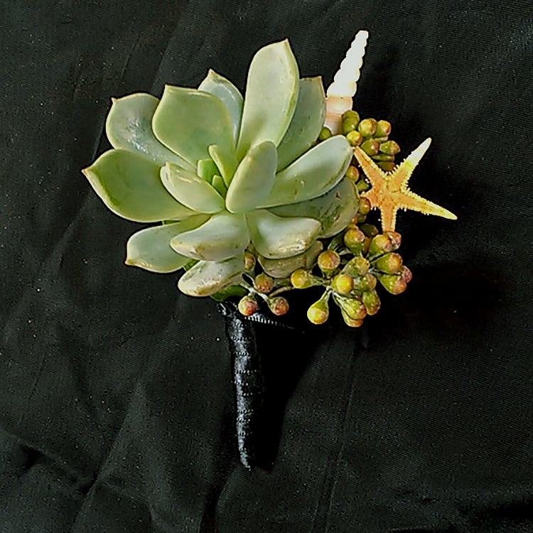 Succulent Boutonniere AB4 - Looking for something with a modern twist that is sure to get you noticed? This succulent Boutonniere with seeded Eucalyptus or other greens and seashells is the perfect accent for a man or a woman! All Boutonnieres and Corsages should be ordered a minimum of 3 - 5 days prior to your event. For needs sooner than that please call the store at 858-454-0146 to ensure availability.