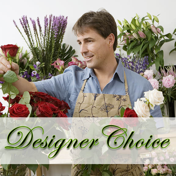 Adelaide's Designer's Choice ADC - Adelaide's Designer's Choice