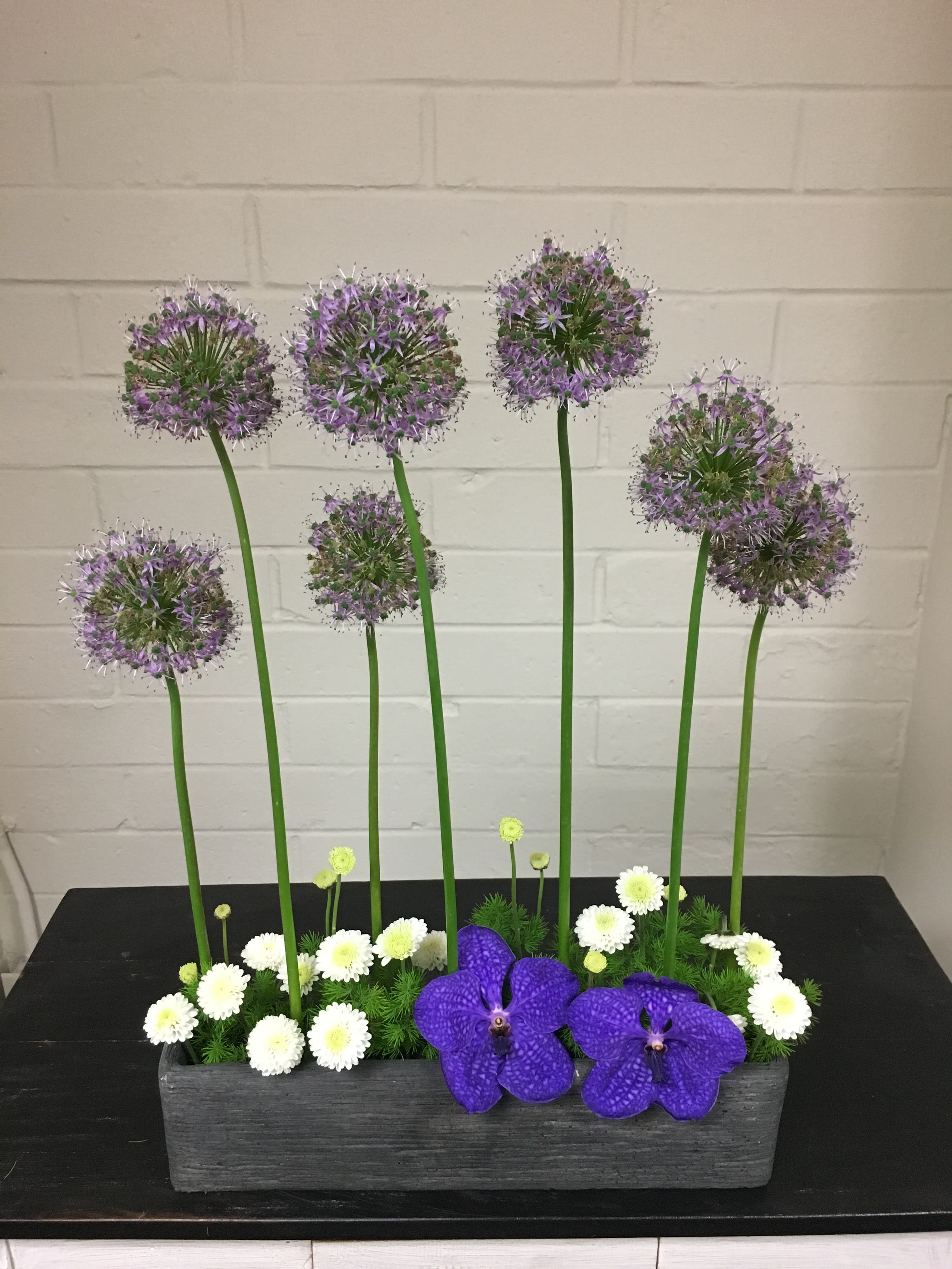 Saturday Night Fever - Approx Dimensions:  16L x 21H x 3W  Modern elegant Allium with Orchids, Button Daisy and Ming Greens in a stone style ceramic vase