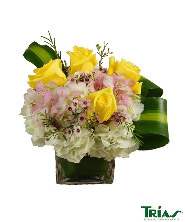 Briza By Trias Flowers Events