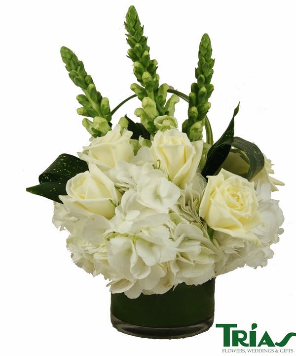Pearly White By Trias Flowers Events