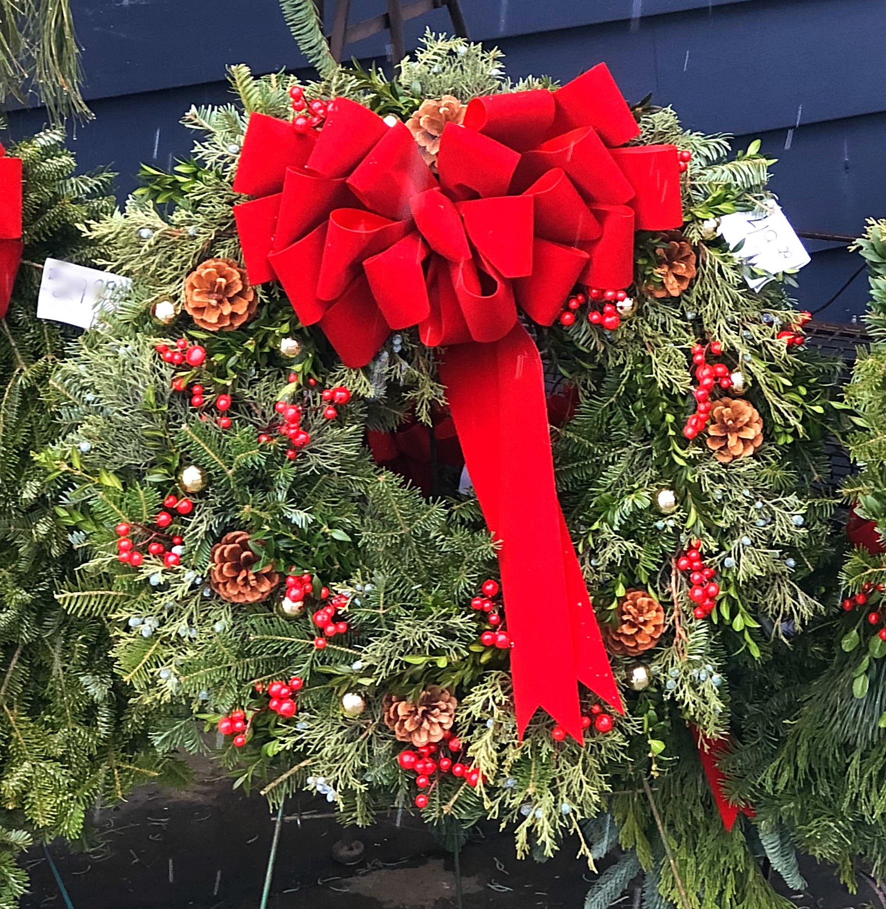 Balsam Wreath Decorated with Bow in Lakeville, CT Roaring Oaks Florist