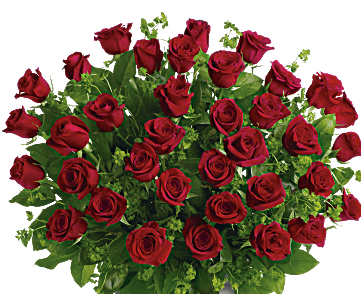 Timeless Beauty Premium Long Stemmed Roses choose 12, 24,or 36 sterms - Exquisite Premium Long Stemmed Red Roses  12 stems, 24 stems, or 36 of the finest long stemmed Red Roses all expertly designed with tropical greenery in a glass  vessel. Wow her!