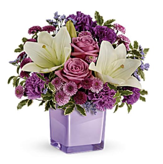Pleasing Purple Pleasing Purple - Eager to please! This luxurious bouquet of lavender roses and snow white lilies is a fabulously fragrant way to tickle their fancy. It's lovingly hand-delivered in our exclusive Color Splash cube for a gift that will keep on giving, year after year! Lavender roses, white asiatic lilies, purple carnations, lavender carnations, purple button spray chrysanthemums and lavender button spray chrysanthemums are arranged with lavender limonium and pitta negra. Delivered in a Teleflora Color Splash cube. Orientation: All-Around