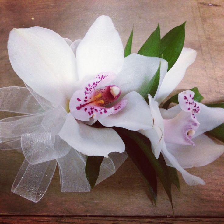 markering Literaire kunsten Karakteriseren Cymbidium Orchid Corsage by Dolly's Florist