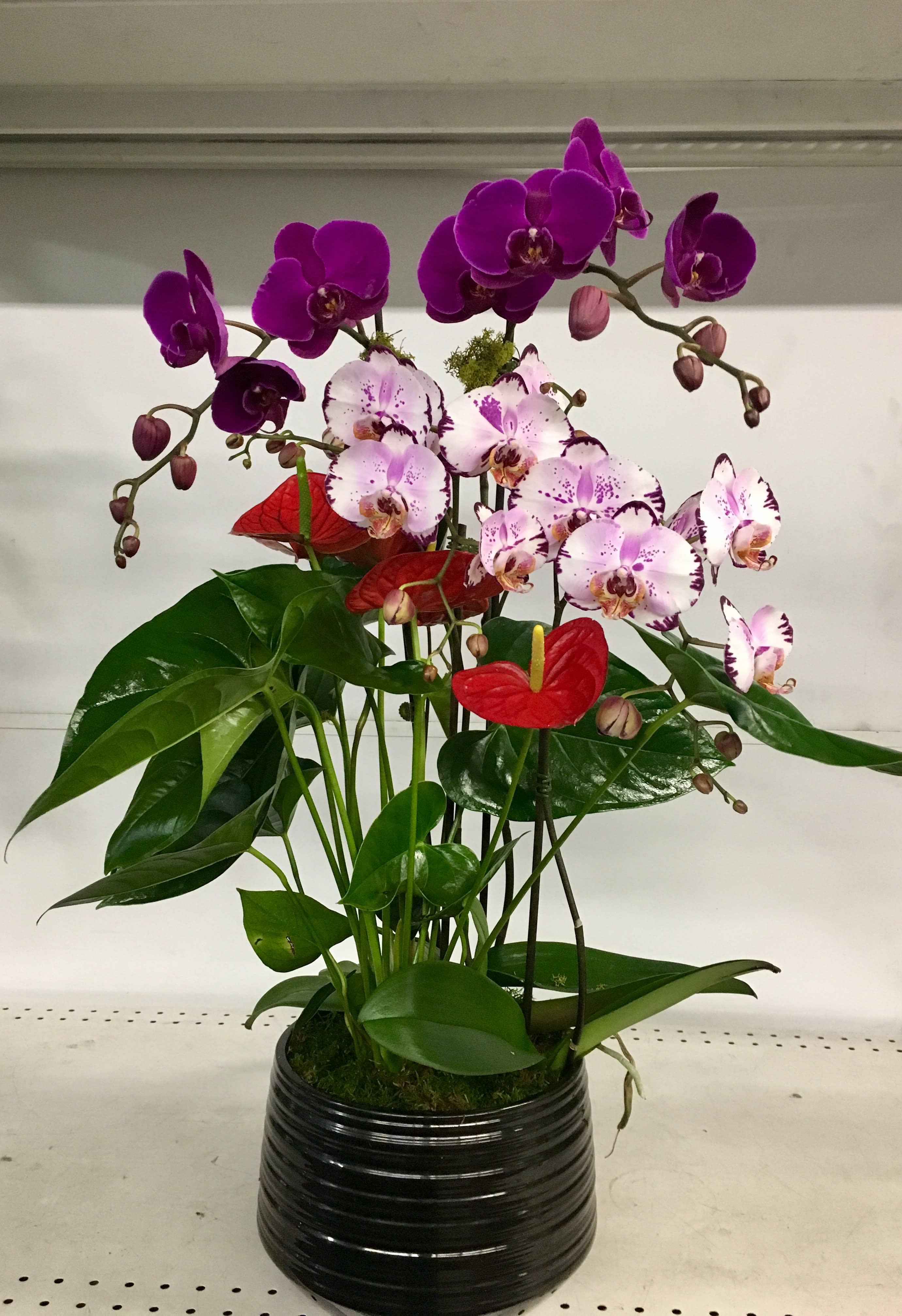 Number 2 - Happy spirits arrangement within a simple vase with mixed colorful orchids and a anthiruium plant.
