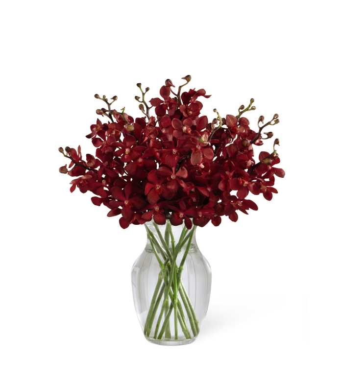 The FTD Spiritual Tribute Bouquet - The FTD Spiritual Tribute Bouquet is a radiant display of sophisticated serenity. Rich red mokara orchids are brought together in a clear glass vase to offer a long-lasting bouquet that conveys your warmest sentiments during their time of grief and loss.