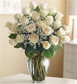 Two Dozen Roses - Two dozen roses arranged with baby's breath and greens. Available in white, pink, lavender, red and mixed.