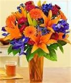 Mixed Garden Delight - A variety of Asiatic lilies, roses, iris gerbera daisies, and assorted fillers and greens.