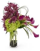 Contemporary Callas and Orchids - This contemporary style arrangement features cymbidium and dendrobium orchids arranged with mini calla lilies and tropical foliage