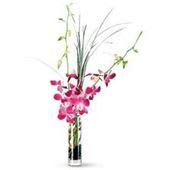 Dendrobium Special - Dendrobium orchids with bear grass designed in bud vase. available in purple, white, or mixed