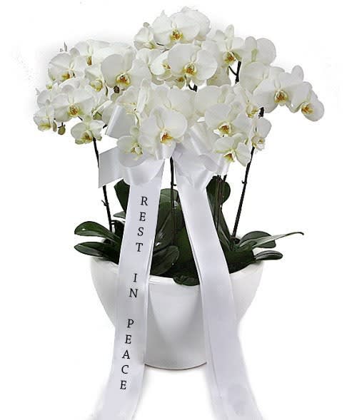 Sympathy & Funeral Orchid in los angeles, CA Orkizz Inc