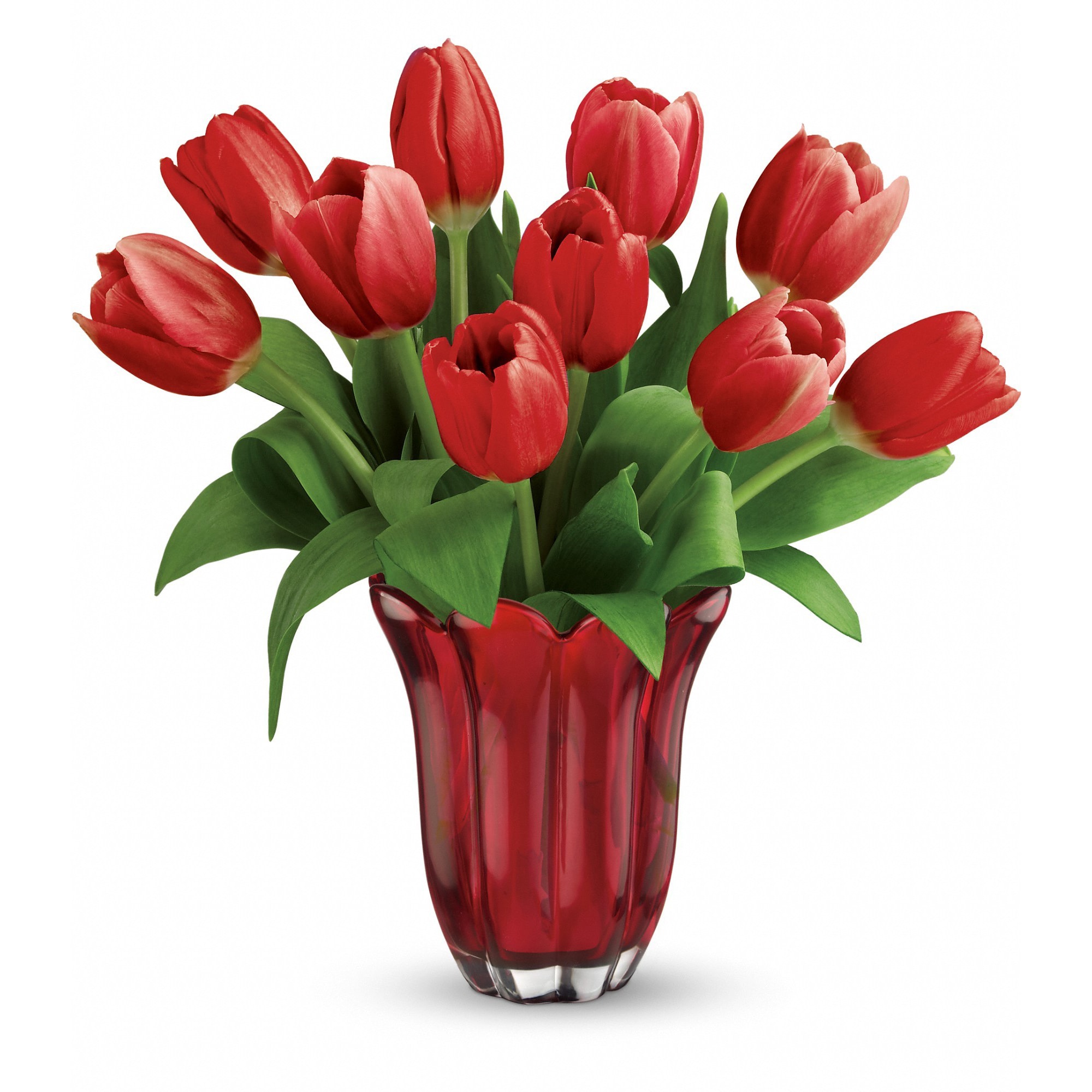 Teleflora's Kissed By Tulips Bouquet - Tickle her with tulips! This elegant bouquet of ten red tulips is arranged in a red-hot glass vase, featuring petal-like detailing.  