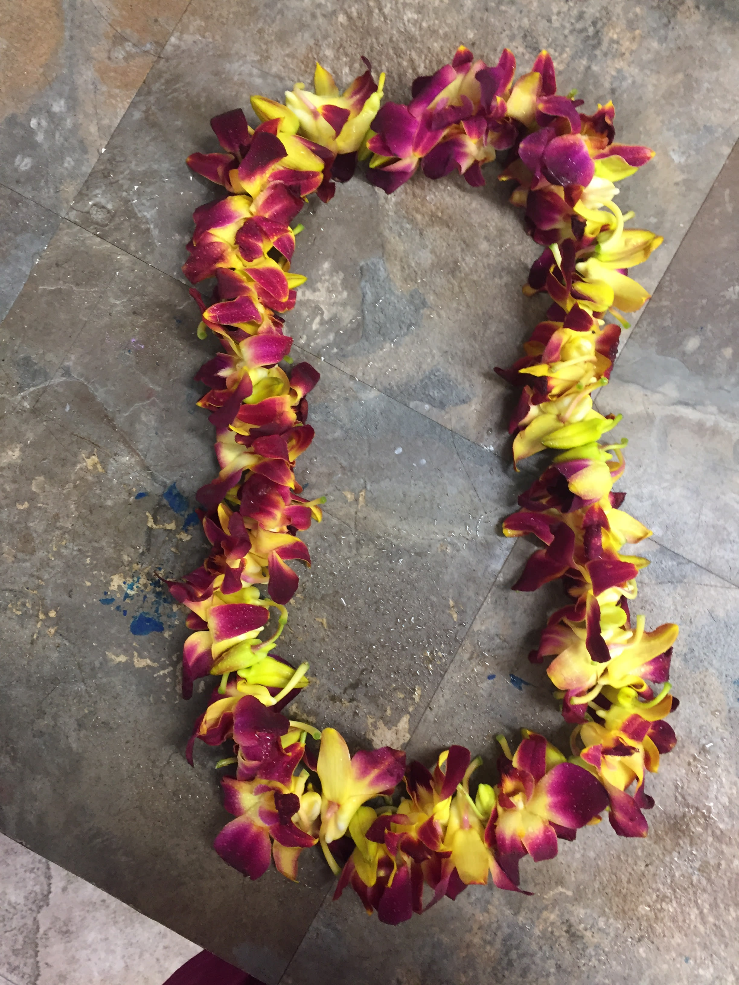 GRADUATION LEI ( RED AND WHITE ) - Order a beautiful double Orchid Lei for Graduation Season! Available in beautiful white or a majestic purple (3 days notice required on all lei orders except during spring graduation season!).n some instances, the florists photo may represent an overall theme or look and include a one-of-a-kind vase which cannot be exactly replicated. THE IMAGE SUPPLIES A DOUBLE LEI ( DELUXE). A STANDARD LEI WILL BE SLIGHTLY LESS FULL.  Although the actual bouquet may not precisely match the photo, its temperament will. Occasionally, substitutions of flowers or containers happen due to weather, seasonality and market conditions which may affect availability. If this is the case with the gift you've selected, the local florist will ensure that the style, theme and color scheme of your arrangement is preserved and will only substitute items of equal or higher value.