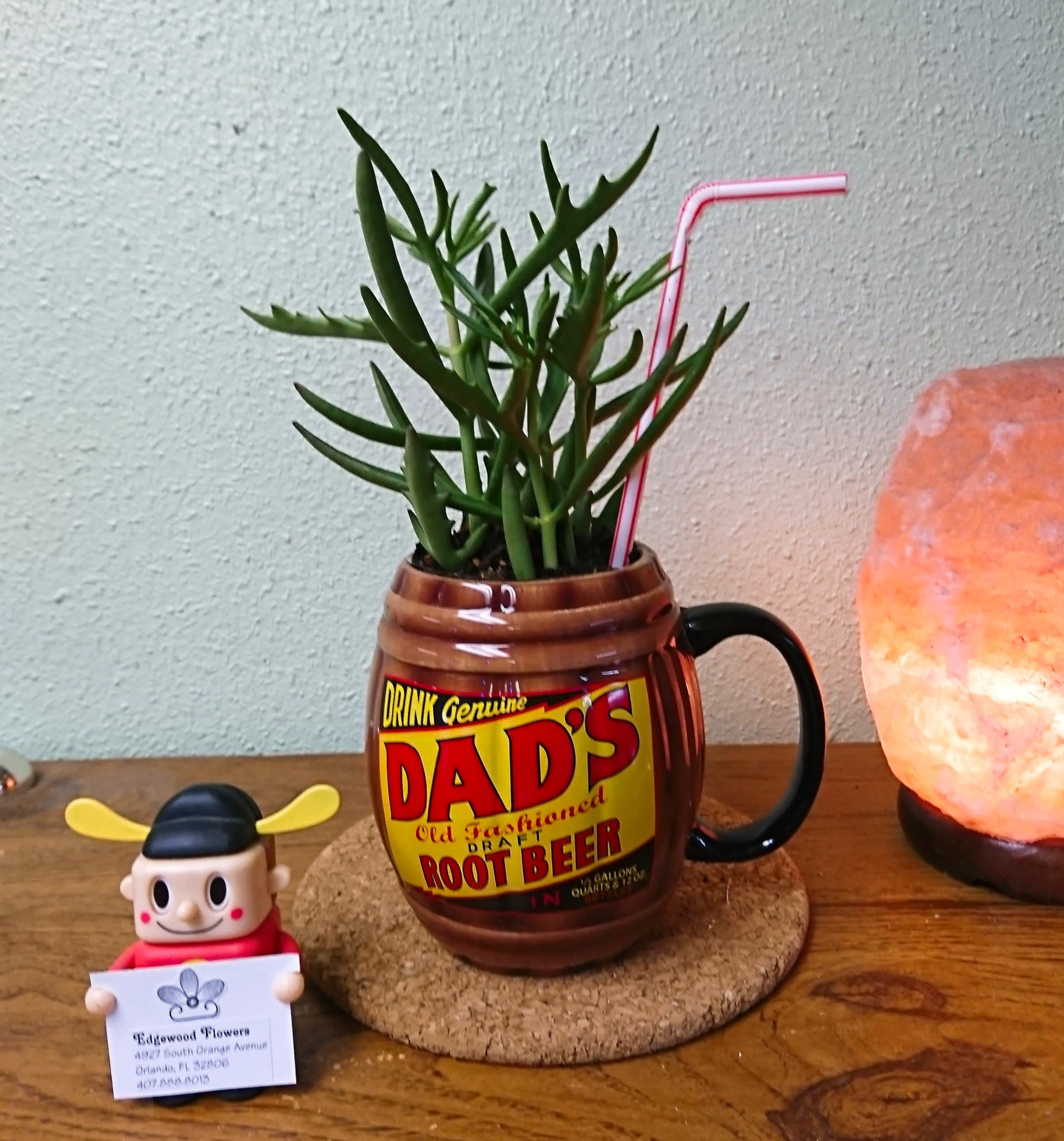An Old Fashioned Mug of Succulence! in Orlando, FL ...