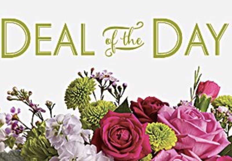 Deal of the Day by Teleflora in New City, NY Bassett Flowers