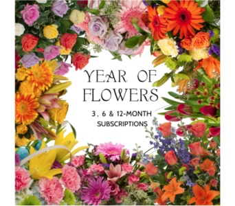 Flower Subscription 3 6 Or 12 Months By Preston S Flowers For ongoing subscriptions, payment is automatically taken from your nominated account 3 days before delivery. flower subscription 3 6 or 12 months by preston s flowers