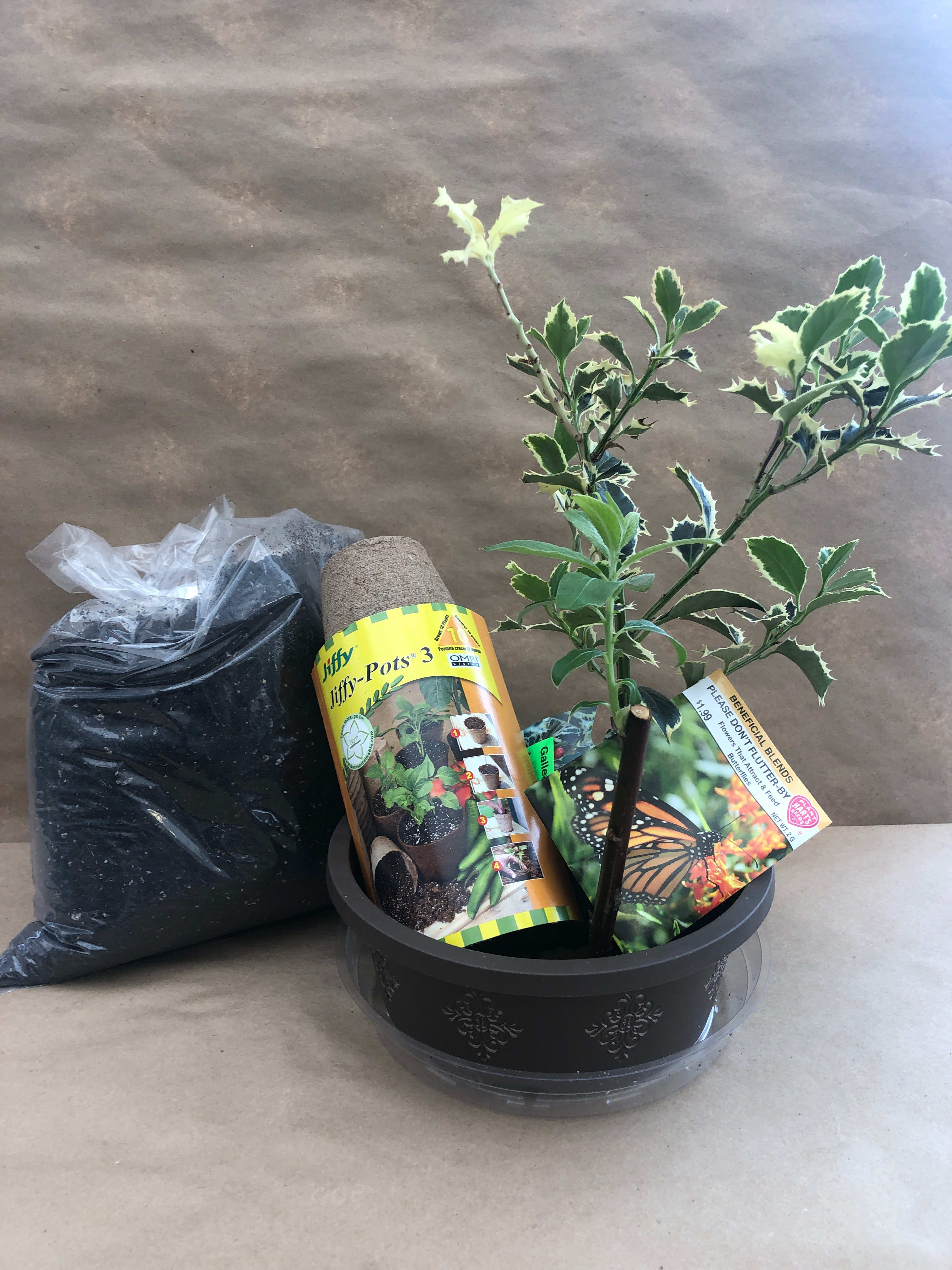 Earth Day Project Kit - A seed starter kit and a cute little evergreen to plant, a great gift for all family members and friends.