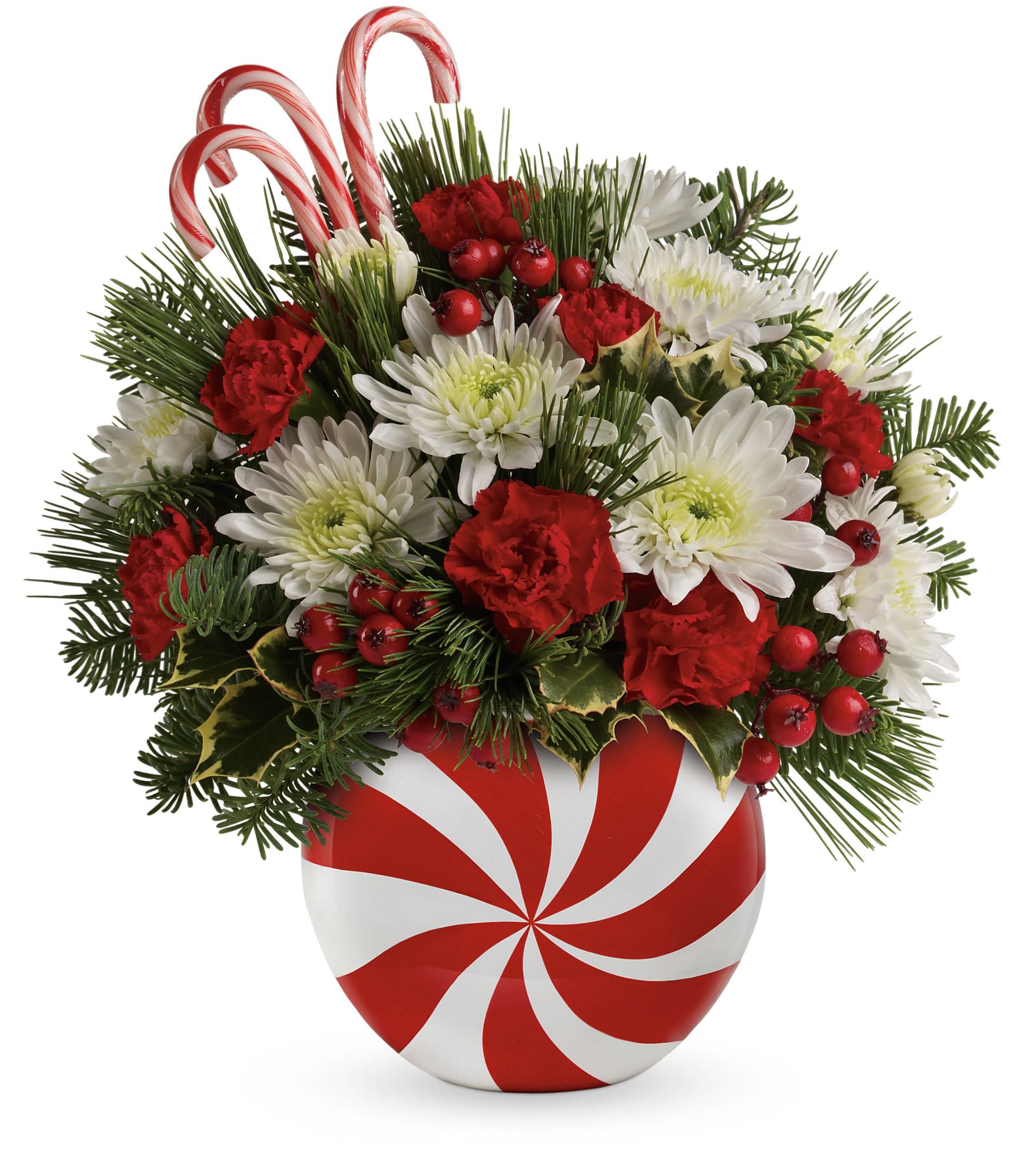 Teleflora's Candy-Striped Christmas Bouquet - Red miniature carnations and white cushion spray chrysanthemums are accented with decorative candy canes, berry spray and tips of white pine, noble fir and holly. Delivered in Teleflora's Peppermint Christmas vase. Approximately 10 3/4&quot; W x 11 3/4&quot; H.  T12X610A