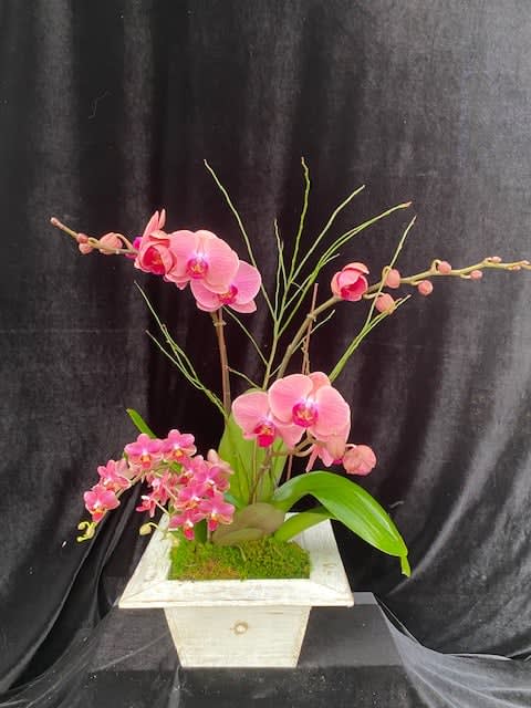 Pink Peach Orchids - Pink peachy color  arrangement (three Orchids)